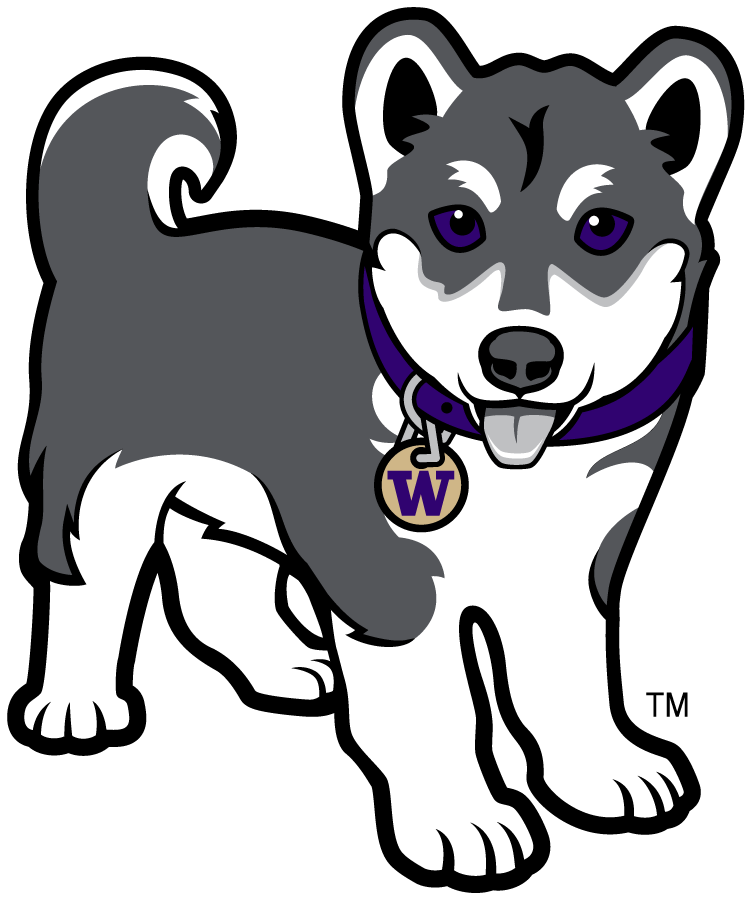Washington Huskies 2016-Pres Misc Logo diy iron on heat transfer